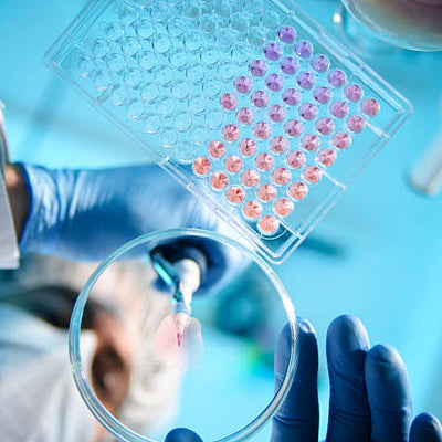 Toray RAPROS®: What Cat Owners Should Know About This Innovative CKD Treatment