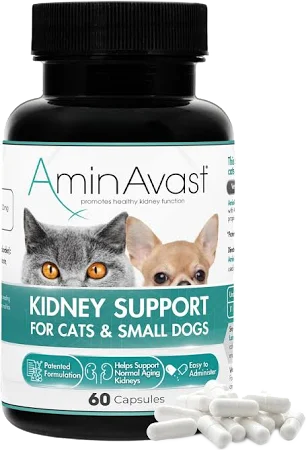 AminAvast Kidney Support Cats & Small Dogs - 60 Capsules