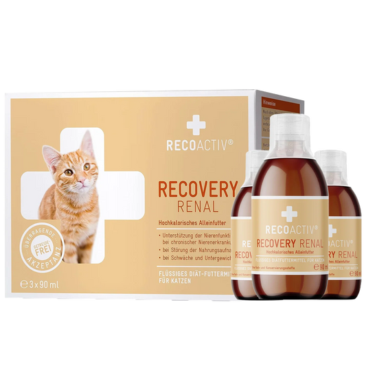 RECOACTIV® Recovery Renal Tonic - 3 x 90ml