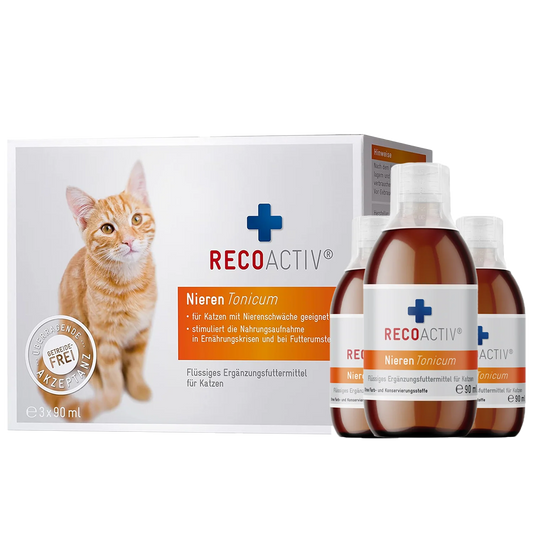 RECOACTIV® Kidney Tonic - 3 x 90ml